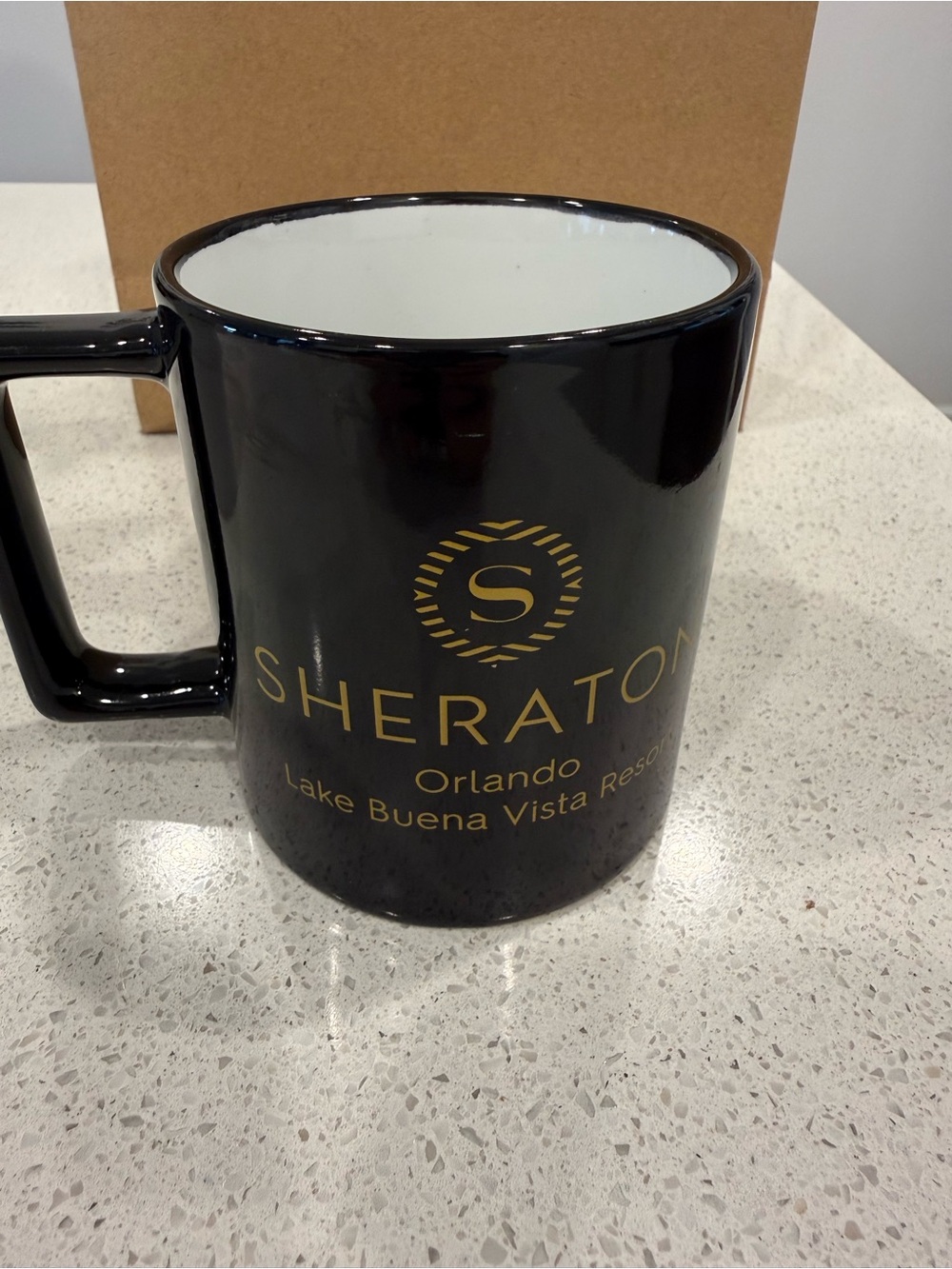 Black & Gold Ceramic Coffee Mug - Orlando Lake Buena Vista